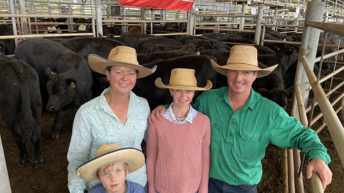 Armidale weaner sale holds well with good returns for vendors and buyer opportunities.