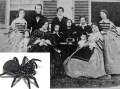 Henry Houghton Burton Bradley (6th from left), was an Australian arachnologist and ancestor to an Armidale family. The Eastern Mouse Spider is named after him. The photograph was taken in 1860 in Cooper Street, Paddington, Sydney. Picture supplied. 