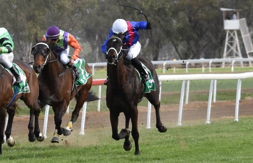 OUT: Melted Moments didn't race in Muswellbrook on Monday but Paul Grills had success at other meetings this week. Photo: Ben Jaffrey