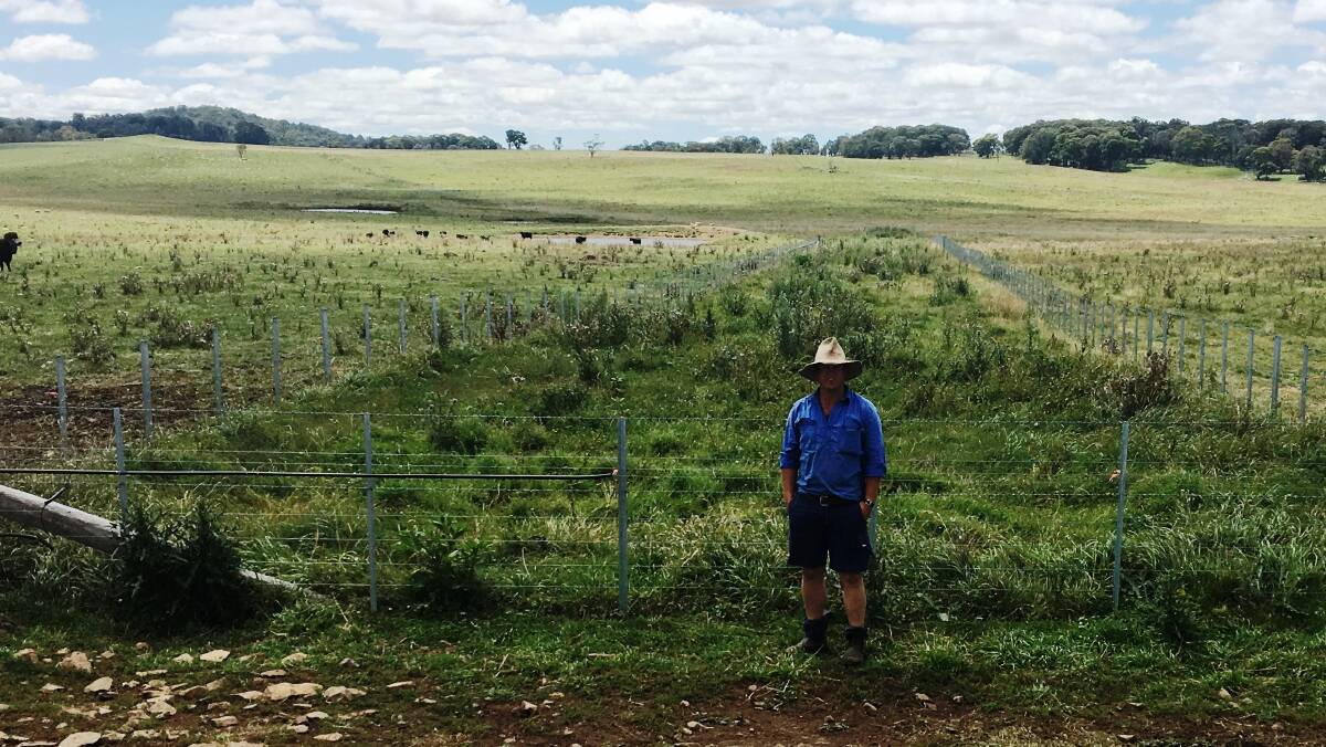 TRESS FOR GROWTH: Tree-planting projects in the Bald Blair region have proved successful in boosting productivity and profitability for farmers and landholders while also improving conditions for native and threatened species. 