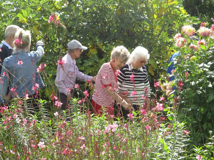 GREAT GARDEN: Residents from Kolora enjoyed basking in the sunshine and a stroll through Norm and Hazel Charles' garden last Thursday morning.