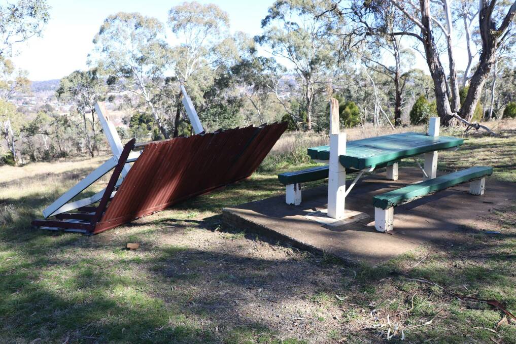 VANDALS ATTACK: Vandals have attacked Apex Memorial Park with chainsaws, chopping down three trees and destroying a park bench on Monday night.