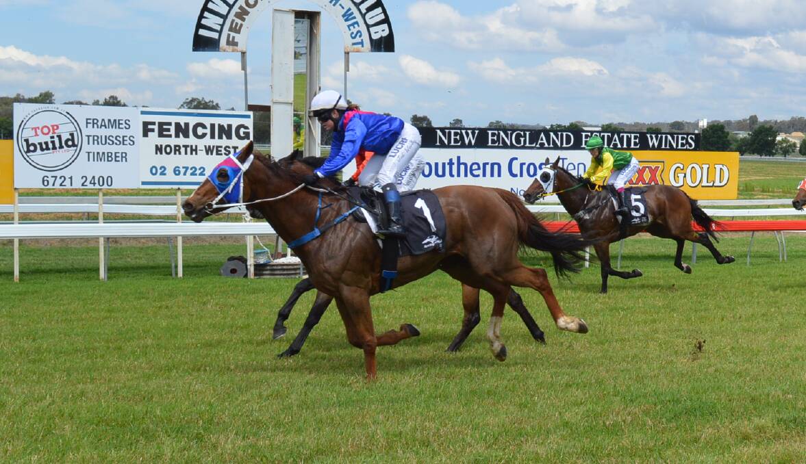 WINNER'S CIRCLE: Kingston Time crosses the line first in Inverell on Saturday with Jodi Worley aboard. 