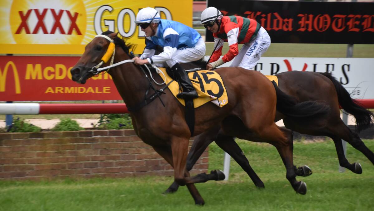 Winner, winner, chicken dinner: Carry On Jake survives a spirited late bid from Our Masquerade to win Saturday's $30,000 Guyra Cup at Armidale.
