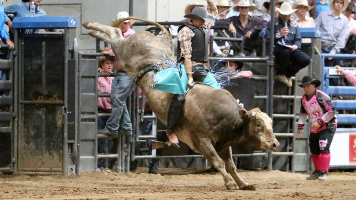 ENTERTAINMENT: Bulls in the Bush will hit Waubic Arena on Saturday. 