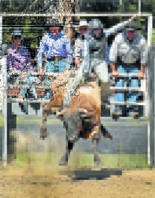 BUMPY RIDE: A novice bull ride will be run on the day. Photo: Gareth Gardner.