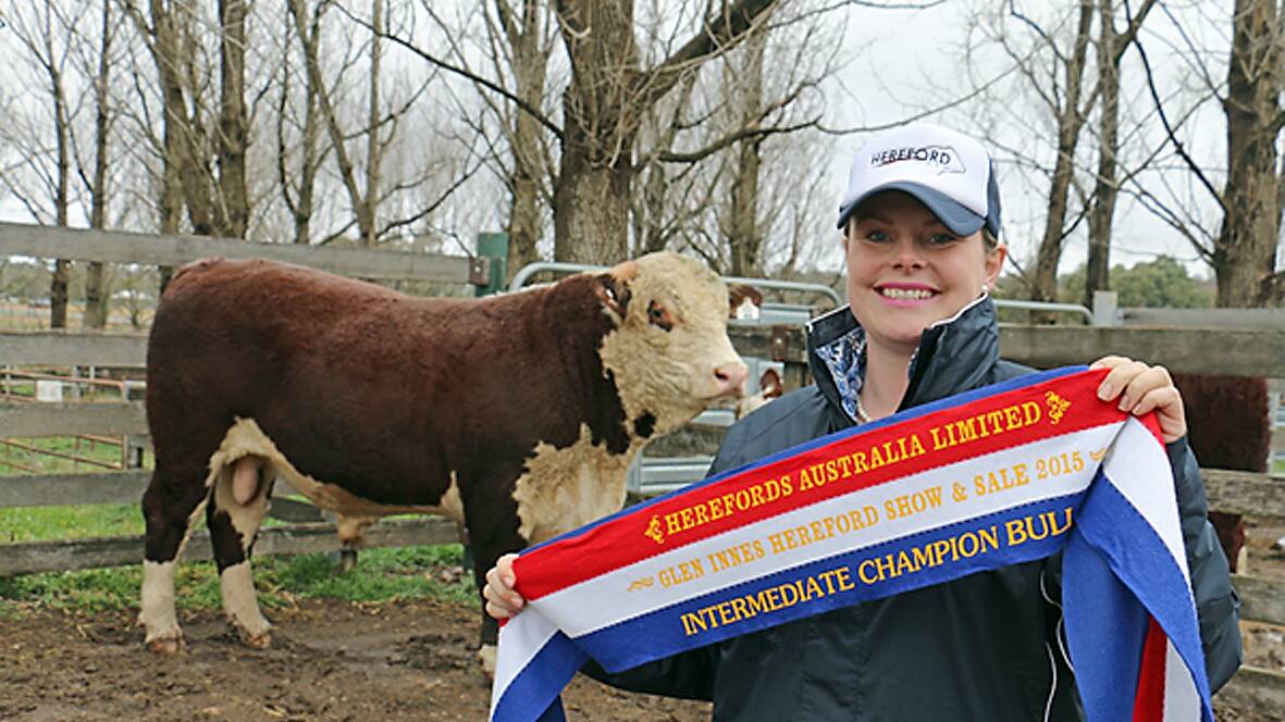 Anne Starr, Foxforth stud, Guyra, with her intermediate and grand champion bull, 
Foxforth Jarvis J55, at the Glen Innes Hereford bull sale.