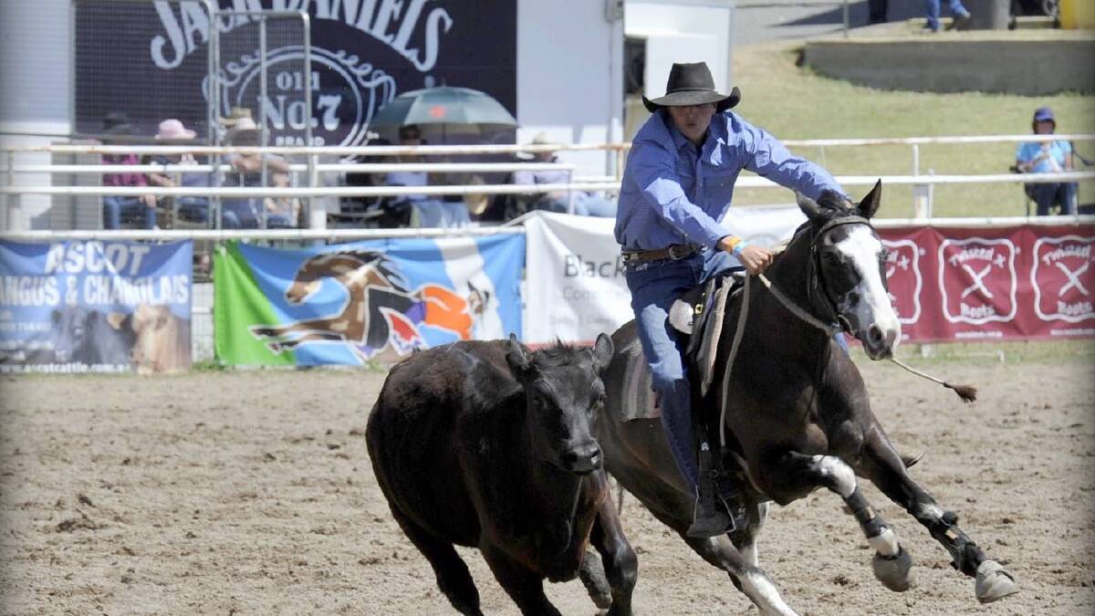 Jack performs well 
at Warwick campdraft