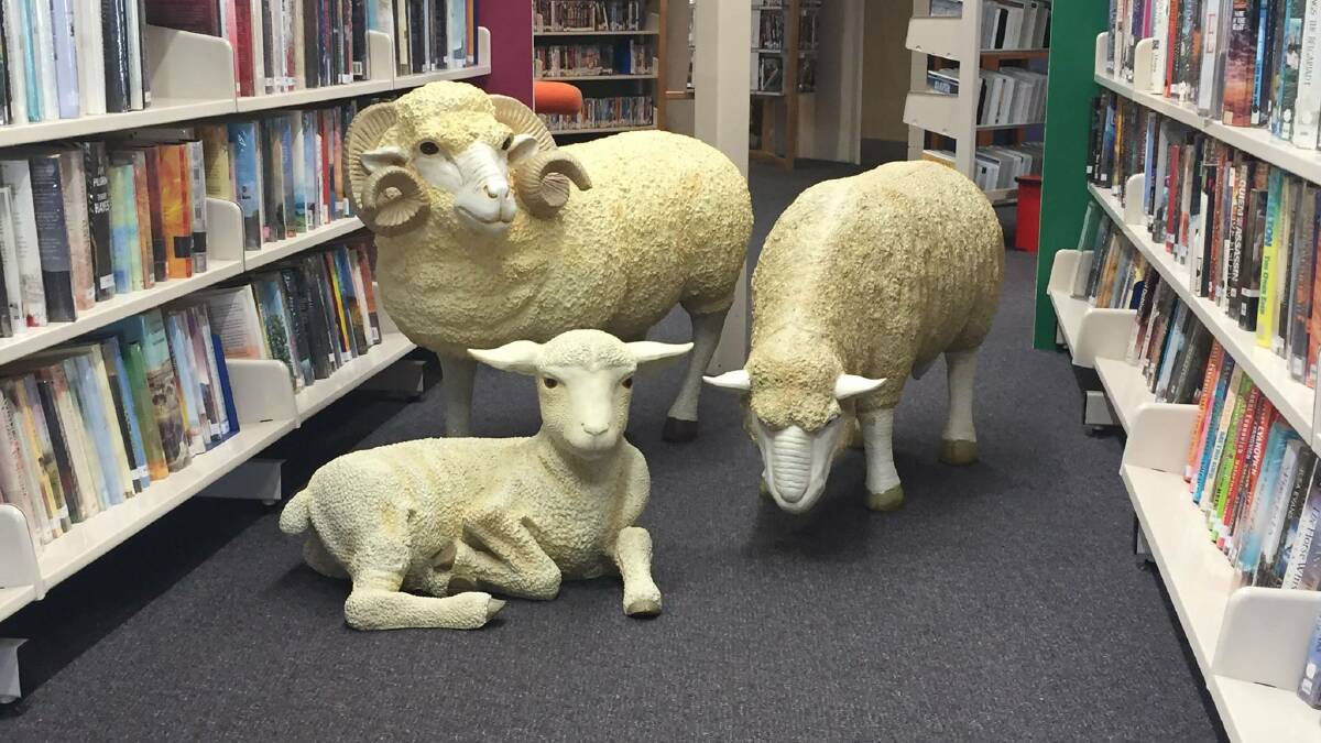 Susan, Sully and Sid were last seen hiding out in the Guyra Library