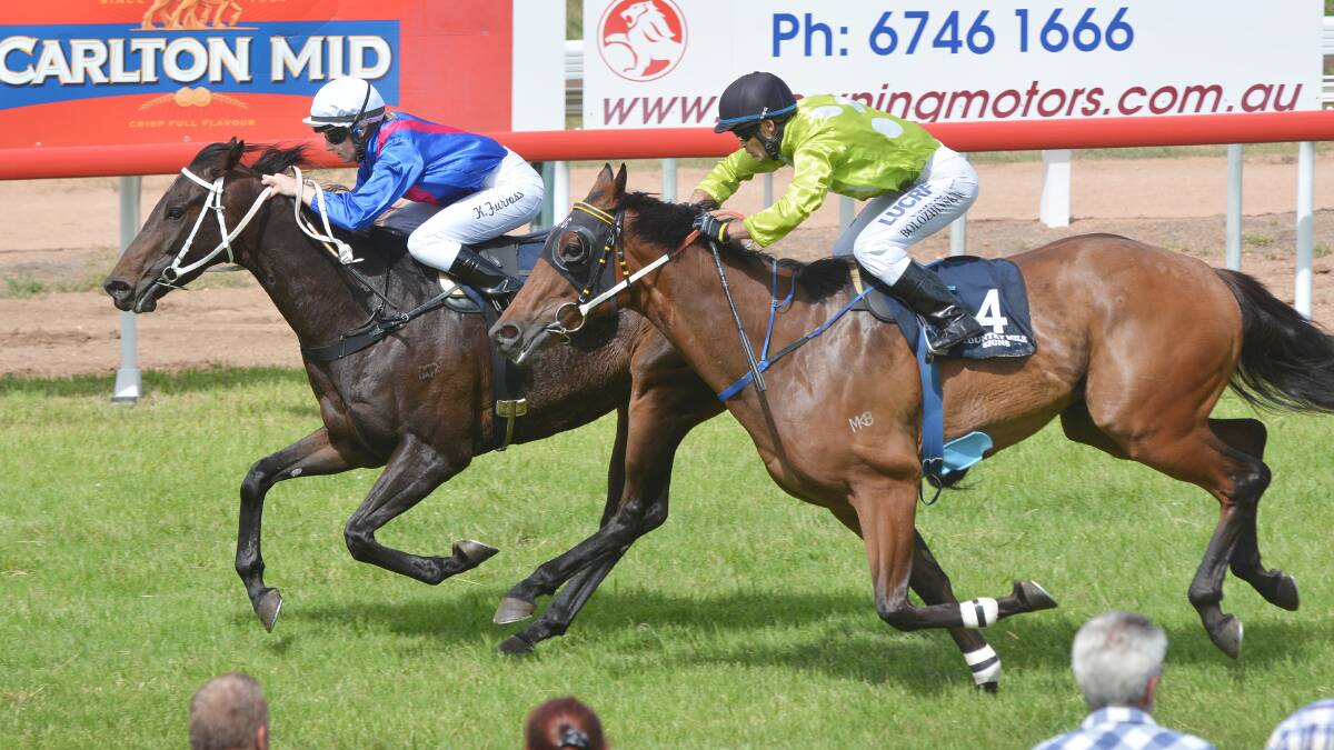 Kassie Furness on board Luna Lang gets the inside running 
to beat the Luke Griffith trained Winning Snip
Photo courtesy of Barry Smith, Northern Daily Leader