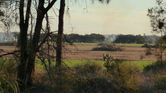 The Turnbulls had both pleaded guilty to the charges of illegal clearing of native vegetation in the Moree area between 2012 and 2013. Photo OEH. 