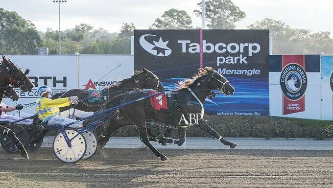 Got there: Smiling Stunner salutes at Menangle for trainer Darren Binskin. Picture:Ashlea Brennan Photography.