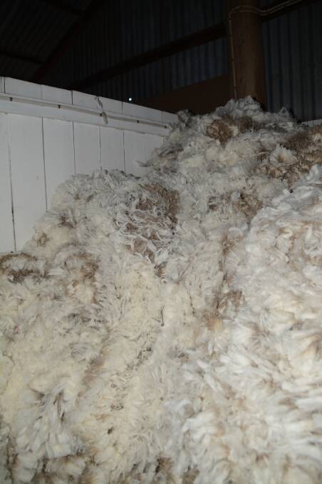 Wool bin: New England Wool has contracts in the market now that guarantee a premium for spinner style fleeces that are sound and well prepared.