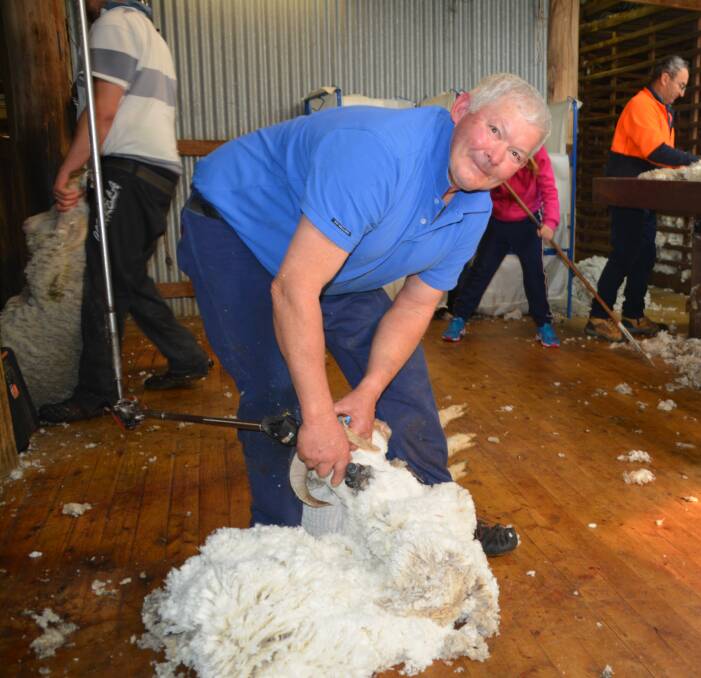 Still shearing: Armidale shearer, Barry Pearson, first picked up a handpiece 50 years ago in July.