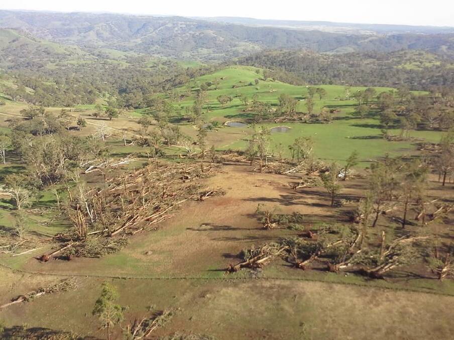 DEVASTATION: The pre-Christmas storm caused widespread damage across the region, but Walcha was particularly hard-hit.