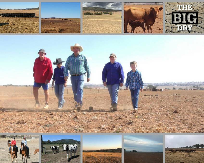 HELL ON EARTH: Farmers across NSW are struggling to survive the drought. Here's a look at some of the scenes from across the state.