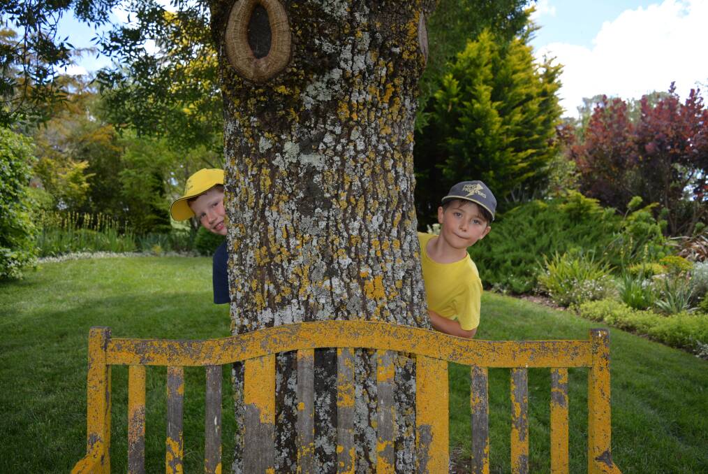FUN IN THE SUN: George Bradford and Archie Colvin playing around in one of the gardens over the two-day Open Gardens weekend in Guyra. Photo: Supplied.