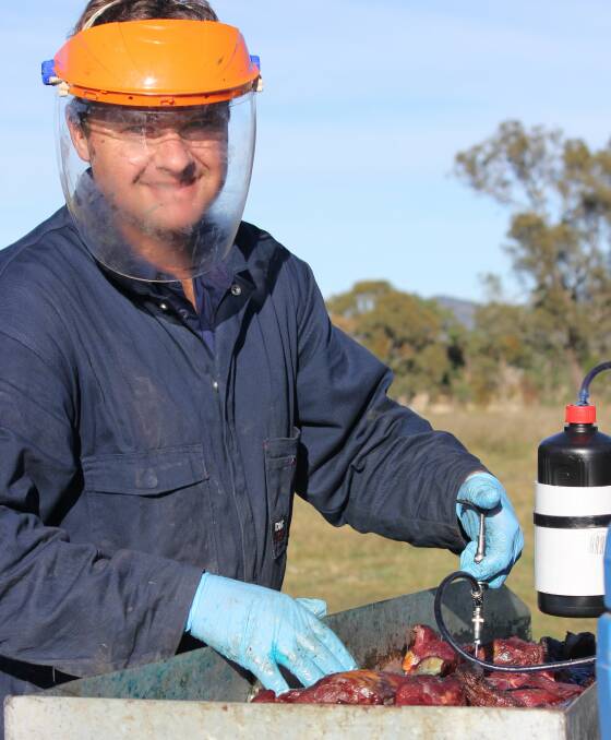 GAINING GROUND: Perry Newman, Northern Tablelands Local Land Services biosecurity officer, prepares meat baits for wild dog aerial baiting. 