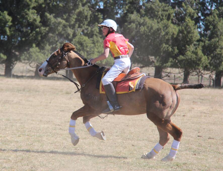 READY TO RIDE: Charlie Fittler at the polocrosse carnival in Guyra last year. Photo: Jo Finlayson 