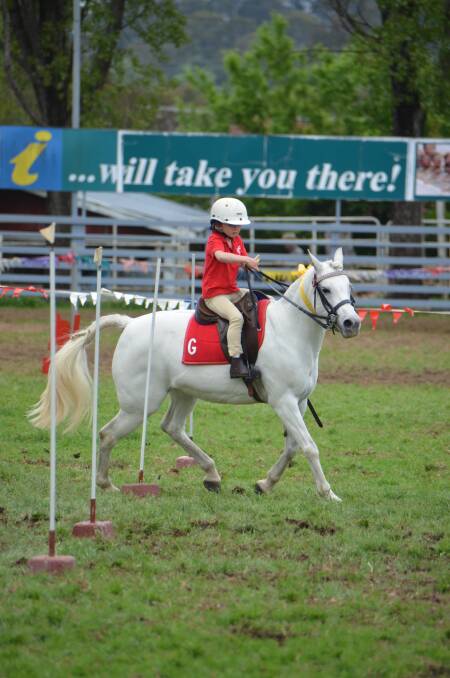 FOCUS: Abbey Grills heads home in the flag race at the Glen Innes interclub last Saturday. 