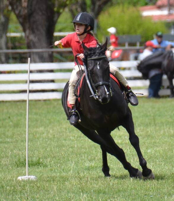 EYES ON THE PRIZE: Jessica Taylor and Bean make their way around the flag race in the sporting on Sunday. The pair picked up numerous ribbons from the day's events. 