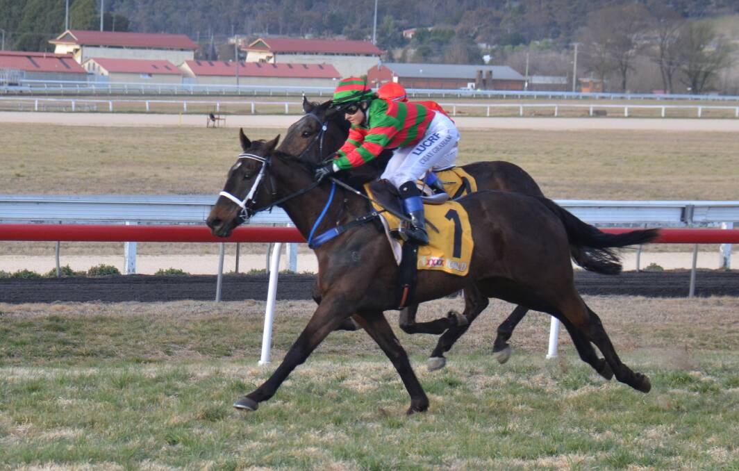 SURGING: Melted Moments with Cejay Graham aboard pulled off an unthinkable win in Saturday's Benchmark 50 in Armidale. The Paul Grills-trained gelding carried the top weight and sat wide the whole race to win by a length. 