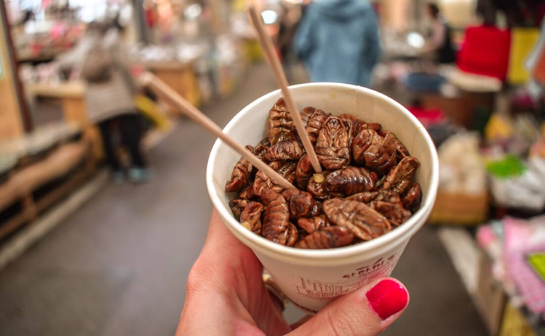 Arguably one of the more unusual types of food, BugFest explores the health benefits of entomophagy.