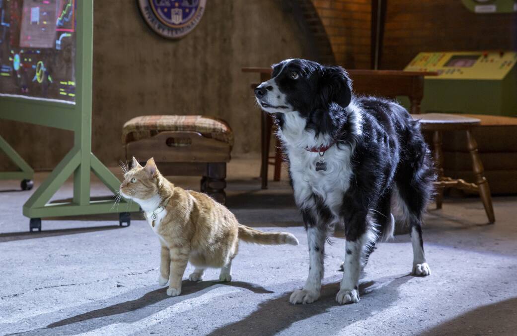 Cats & Dogs 3: Paws Unite! Picture: Ryan Plummer/ Warner Bros. 