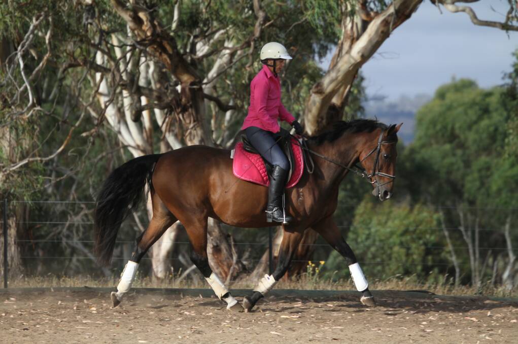 HORSE POWER: Armidale trainer Christine McClelland rides Regal, now named Beersheba.