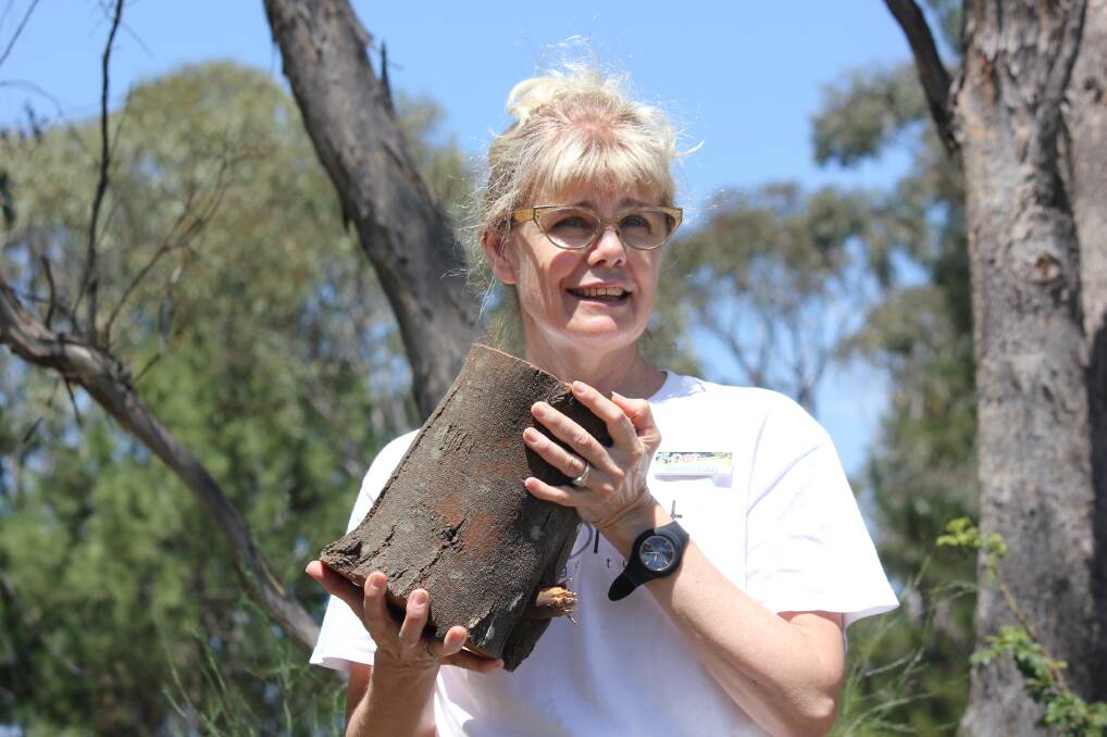 WOOD TO STICK AROUND: Z-Net Uralla president Sandra Eady champions the Elephant in the Woodlands program to educate the community on sustainable firewood collection.