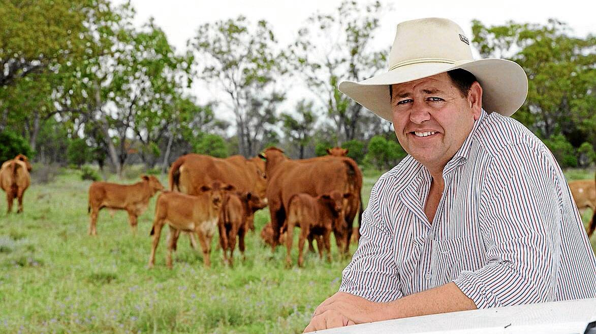 Cattle farmer to run against Barnaby Joyce