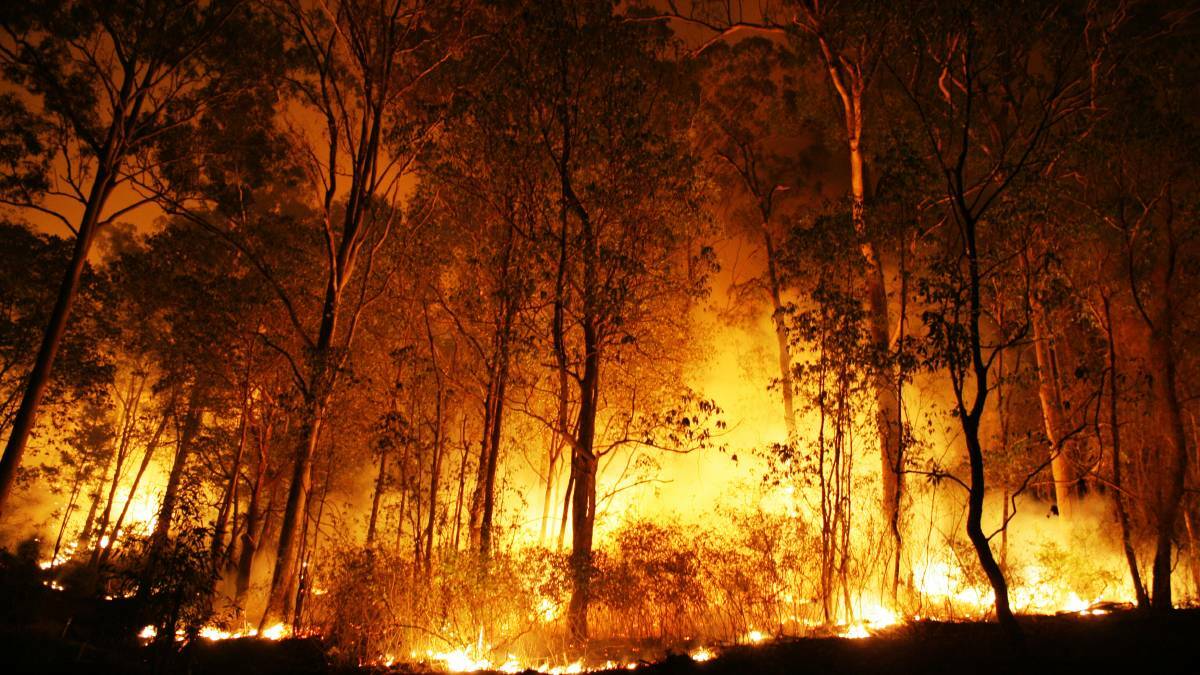 Bushfires threaten Glen Innes communities; Severe Fire Danger Thursday across region