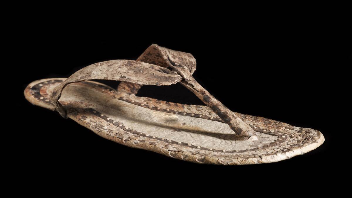 UNE’s Museum of Antiquities reveals 60th birthday acquisition – and it’s a shoe-in
