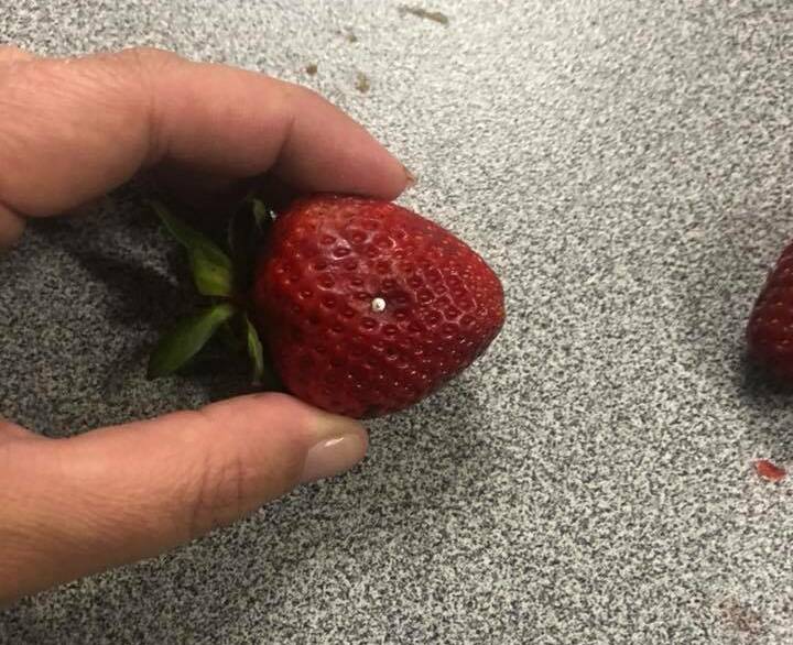BERRY BAD NEWS: Guyra woman Kylie Wilson found pins through two strawberries.