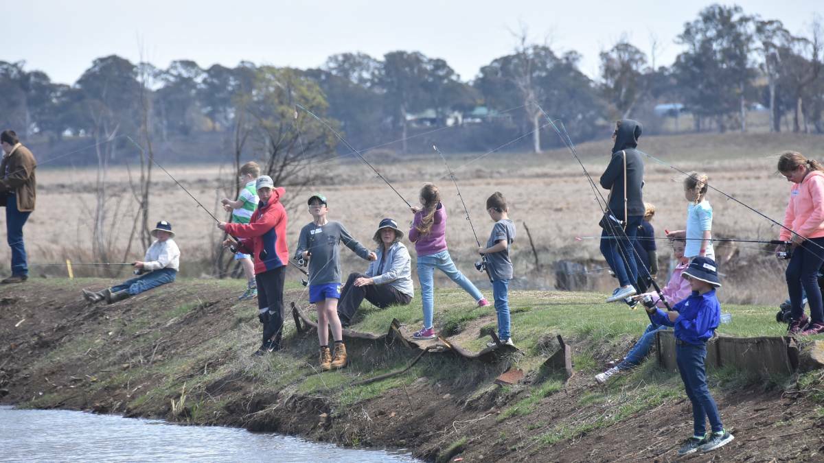 TroutFest will swim into Guyra this October, despite drought