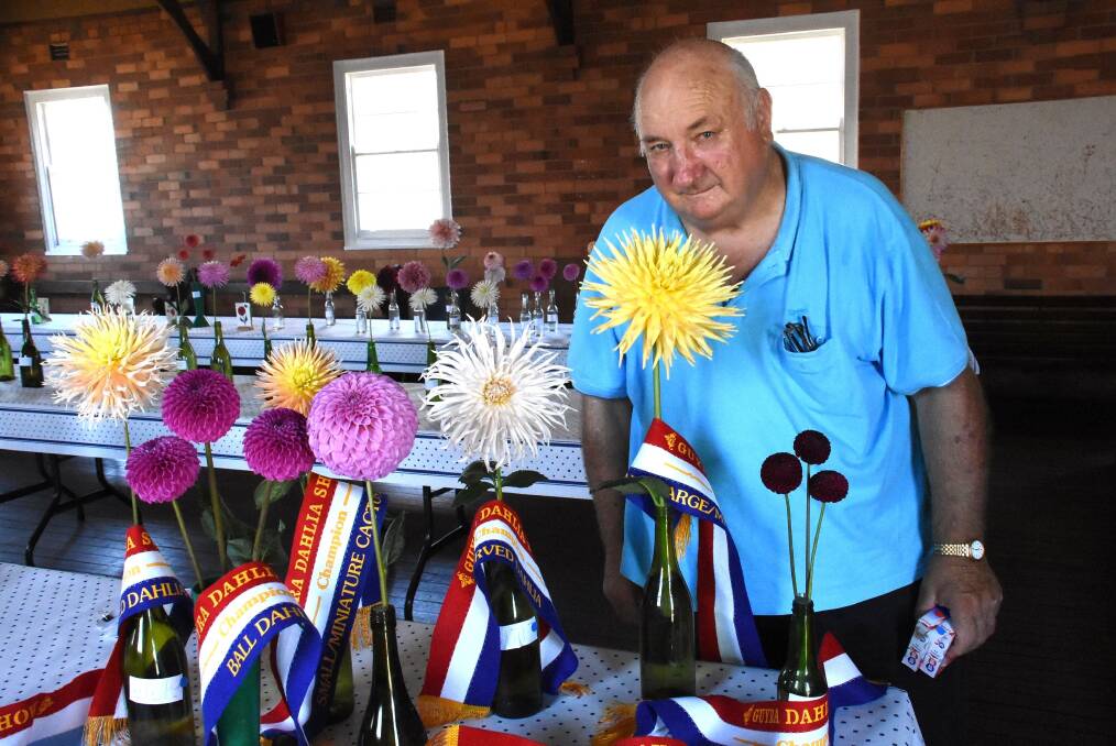 PRIZED: Ron Cook with his award-winning dahlias. Photo: Nicholas Fuller