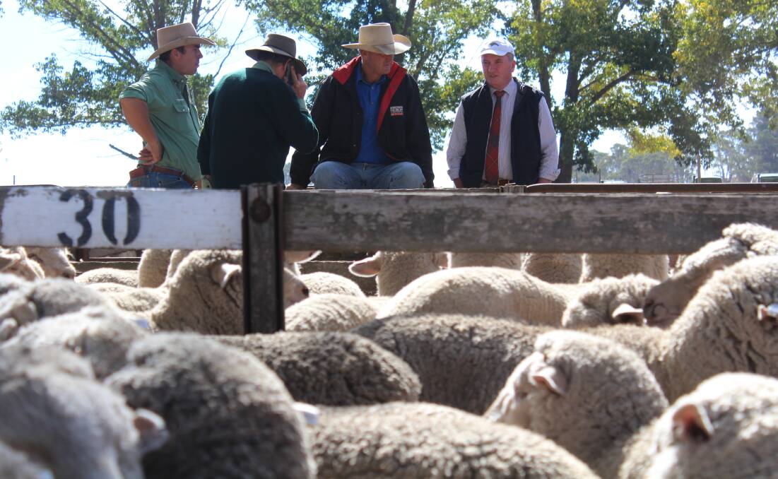 Barnaby Joyce (right) at the Guyra sheep and lamb sales. Photo supplied.