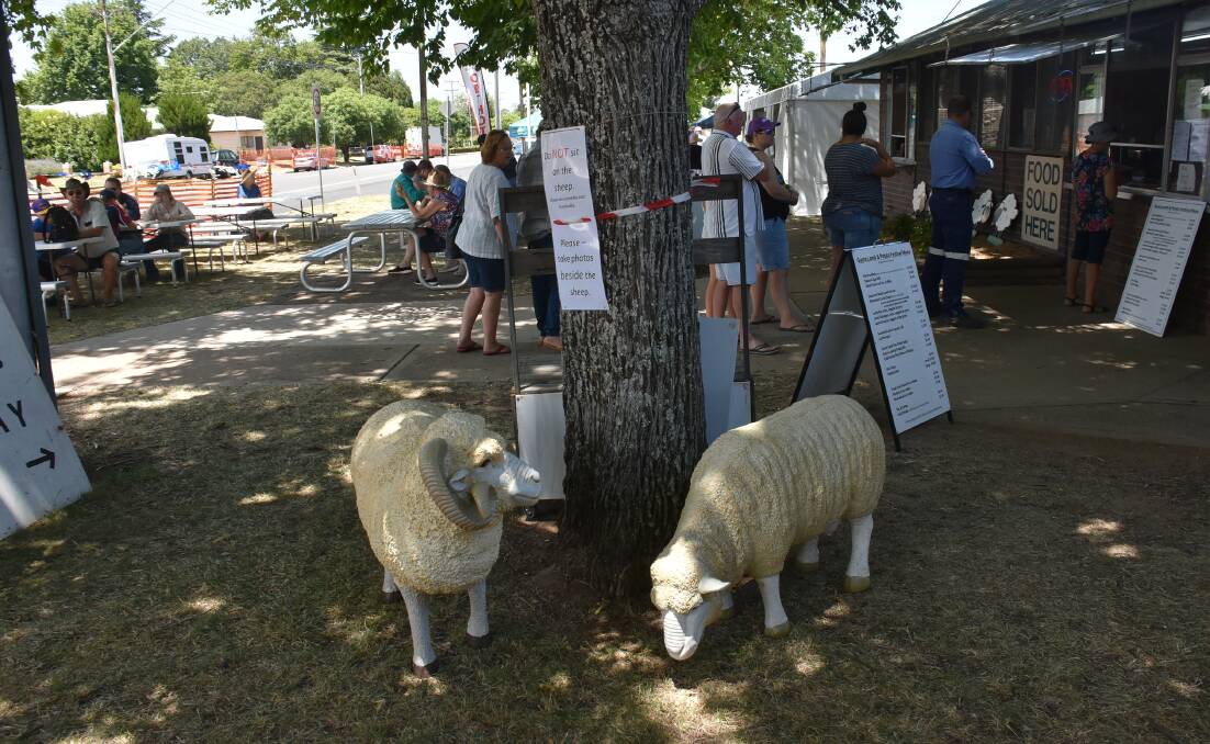 SHEEP MAY SAFELY GRAZE?: The food gazebo had served more than 100 people by lunchtime today. Photo: Nicholas Fuller
