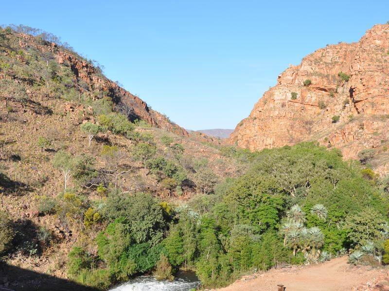 There are now 12 confirmed COVID-19 cases in WA's Kimberley region, including six medicos.