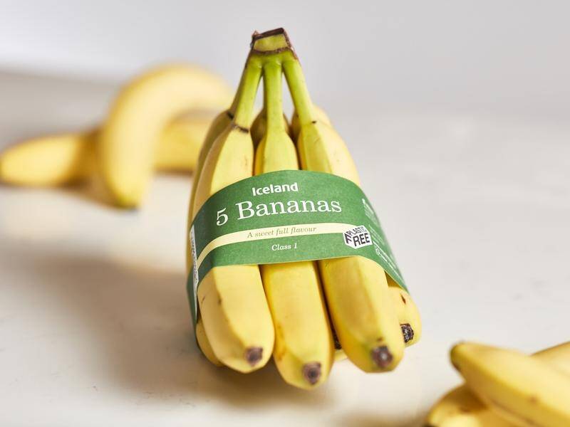 UK supermarket chain Iceland will sell bananas in a recycled paper band rather than in plastic.