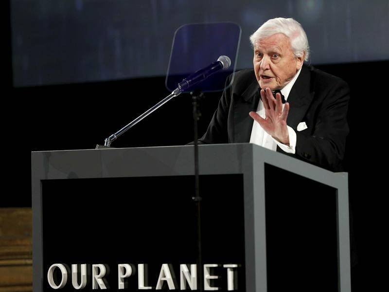 Britain's David Attenborough says there's still a chance to reverse catastrophic biodiversity loss.