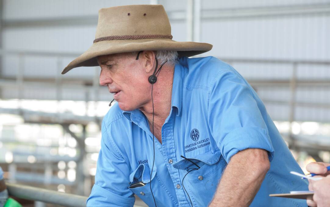 Well known and much admired Armidale auctioneer Victor Moar in action recently at the Armidale Weaner sales. Victor's son Clancy said his father's death had affected the whole community.