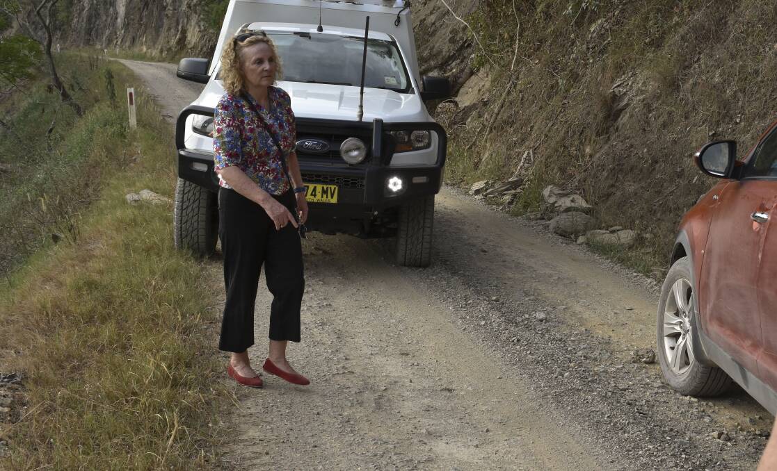 TRAFFIC: Labor candidate Debra O'Brien trying to sort out the problem of an oncoming vehicle on Kempsey Road.